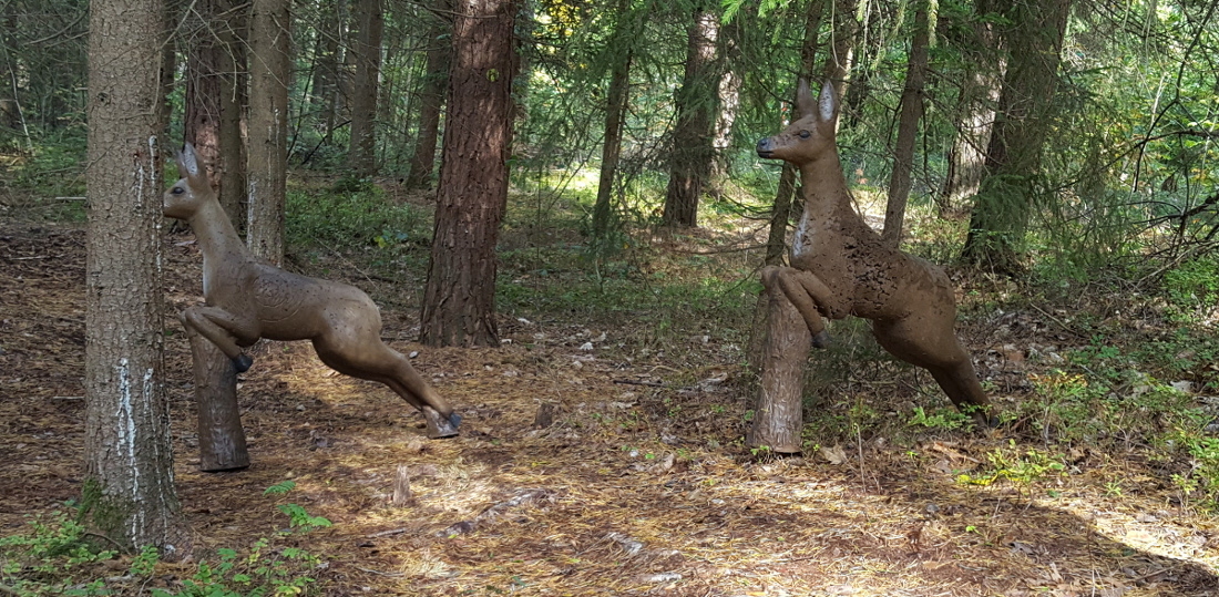 Colemen Traditionell intuitiv Bogenschießen, 3D Bogenparcours Abenberg