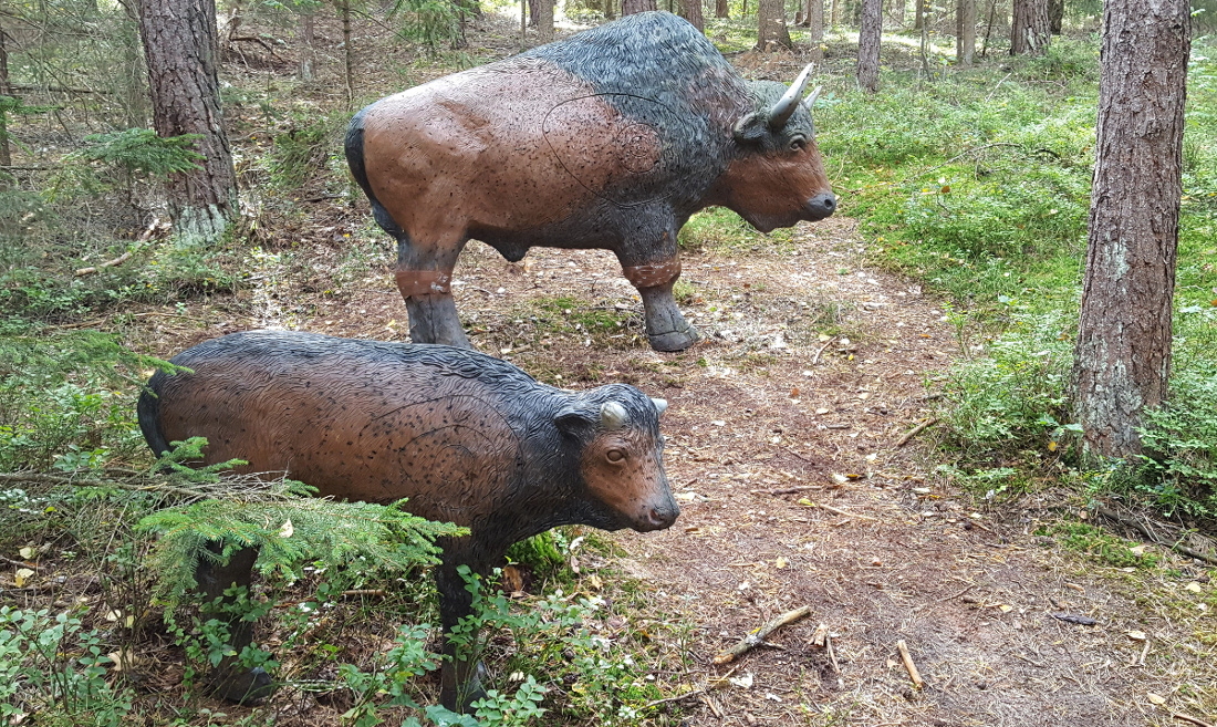 Colemen Traditionell intuitiv Bogenschießen, 3D Bogenparcours Abenberg