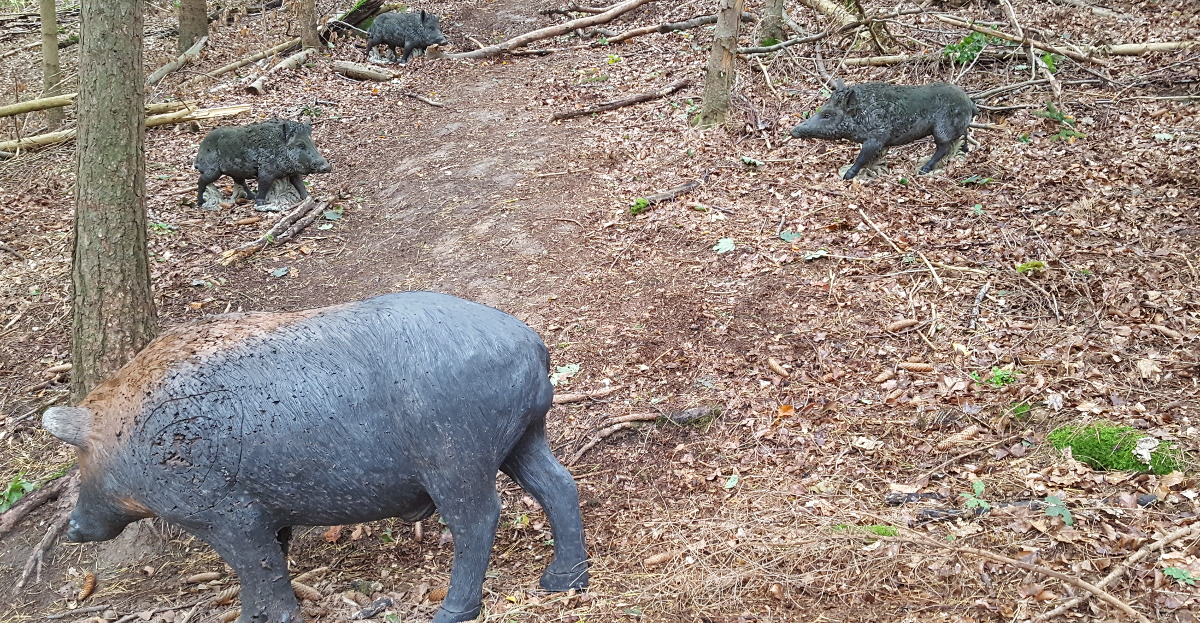 Colemen Traditionell intuitiv Bogenschießen, 3D Bogenparcours Abenberg
