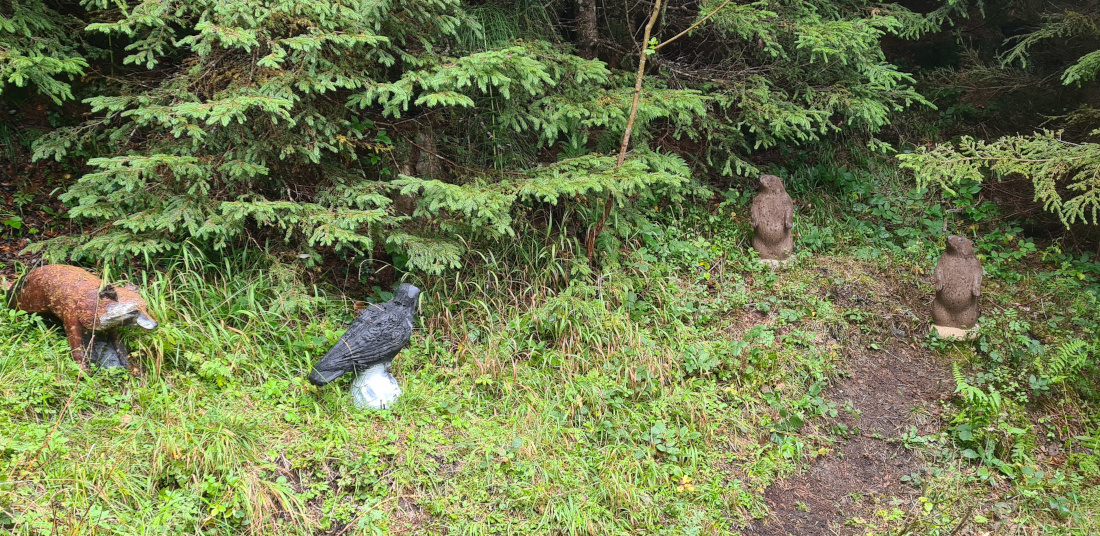 Colemen Traditionell intuitiv Bogenschießen, 3D Bogenparcours Allgäu Bolsterlang