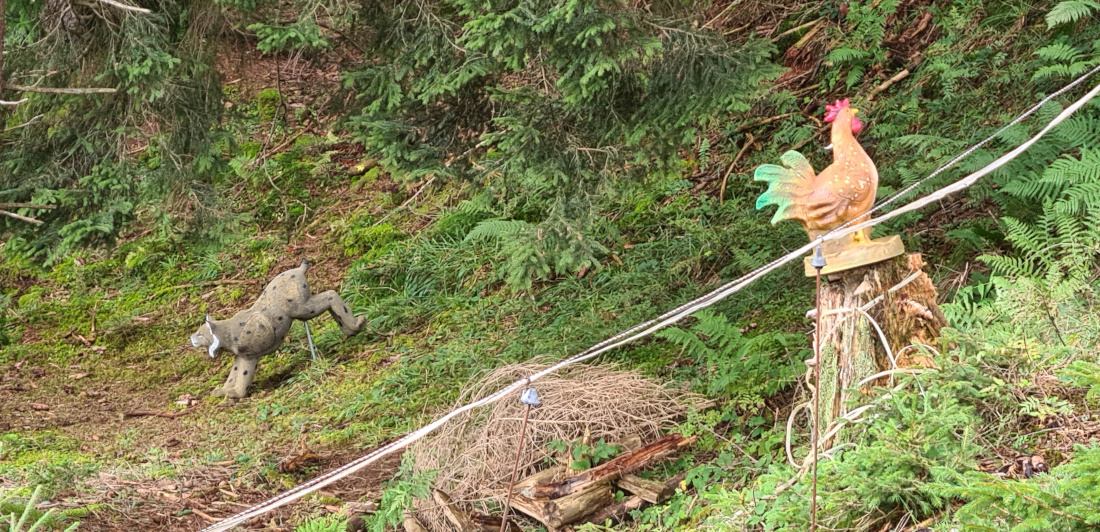 Colemen Traditionell intuitiv Bogenschießen, 3D Bogenparcours Allgäu Bolsterlang