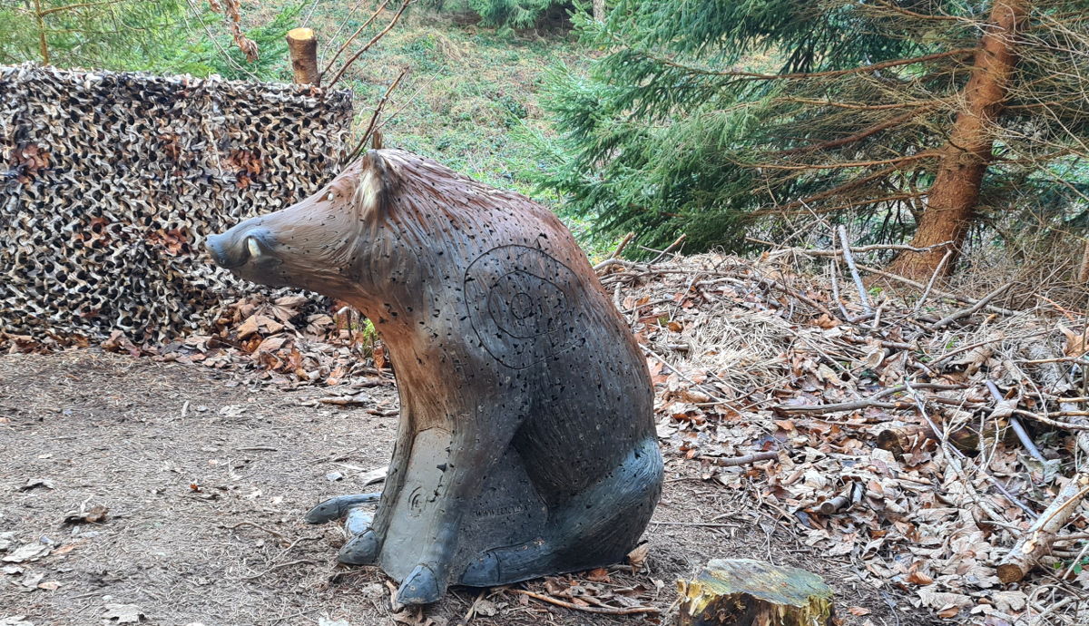 Colemen Traditionell intuitiv Bogenschießen, 3D Bogenparcours Bad Waldsee