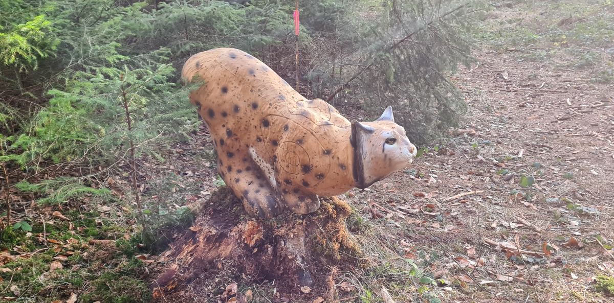 Colemen Traditionell intuitiv Bogenschießen, 3D Bogenparcours Bad Waldsee
