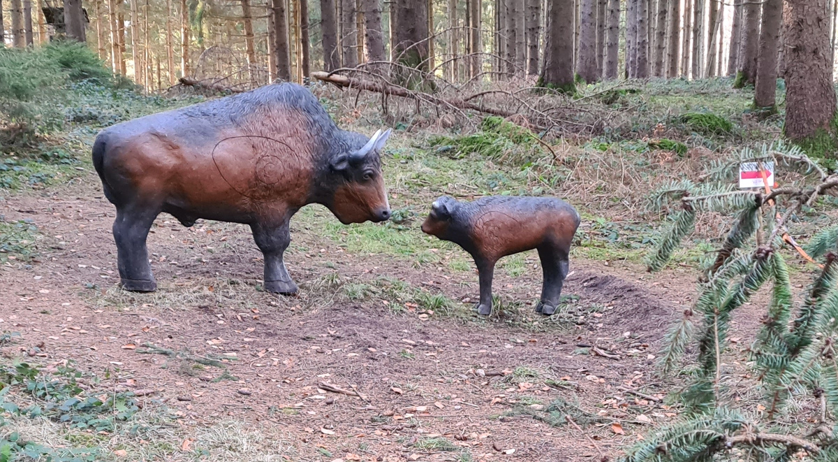 Colemen Traditionell intuitiv Bogenschießen, 3D Bogenparcours Bad Waldsee