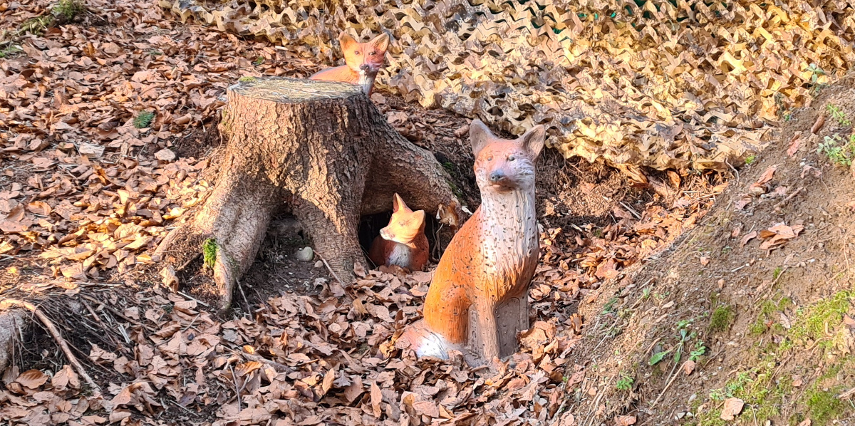 Colemen Traditionell intuitiv Bogenschießen, 3D Bogenparcours Bad Waldsee