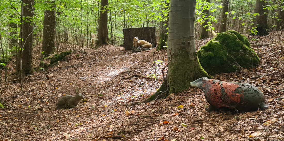 Colemen Traditionell intuitiv Bogenschießen, 3D Bogenparcours Bogen Sehne Immenstadt
