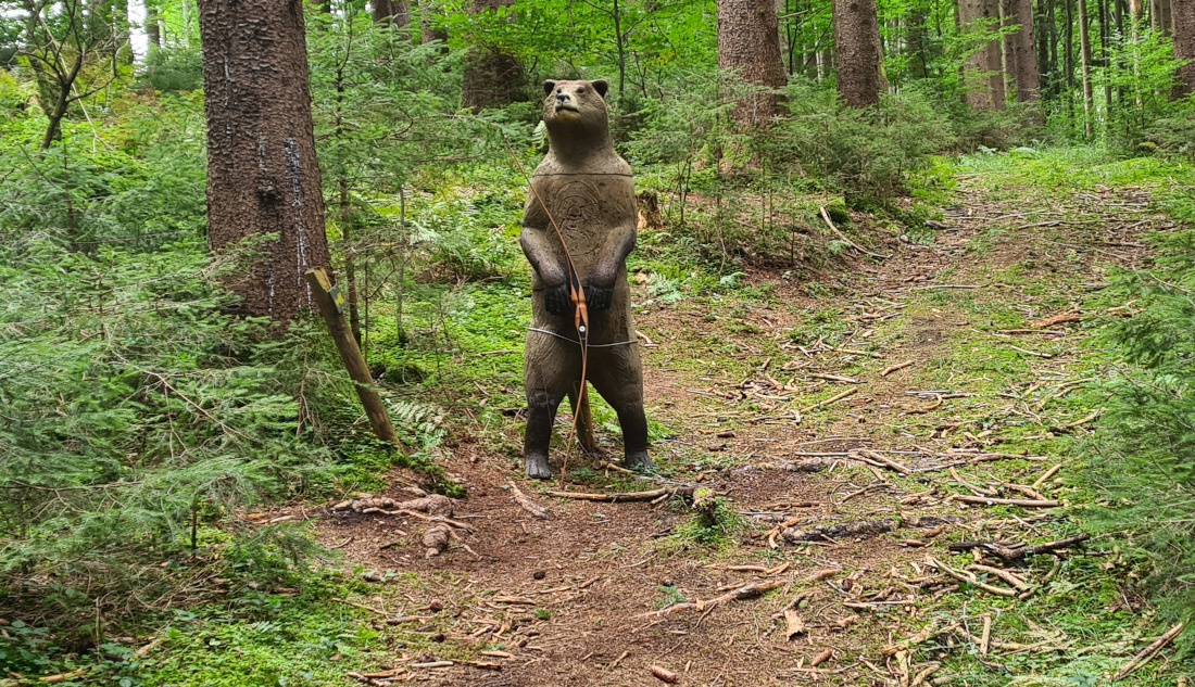 Colemen Traditionell intuitiv Bogenschießen, 3D Bogenparcours Bogen Sehne Immenstadt
