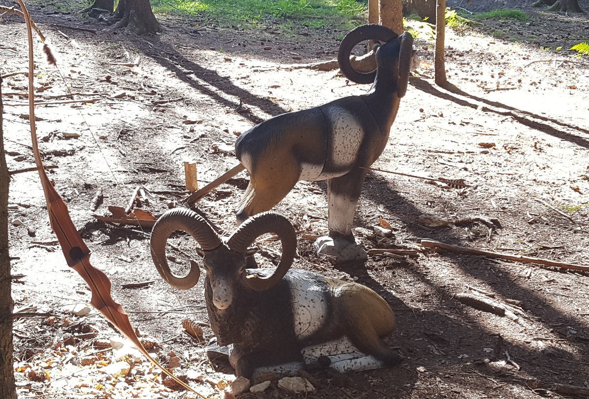 Colemen Traditionell intuitiv Bogenschießen, 3D Bogenparcours Bow Vision