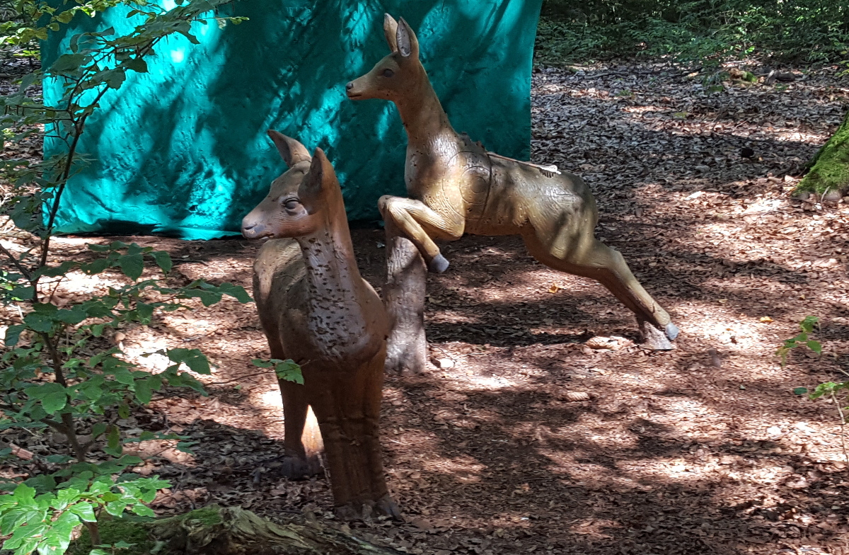 Colemen Traditionell intuitiv Bogenschießen, 3D Bogenparcours Bow Vision