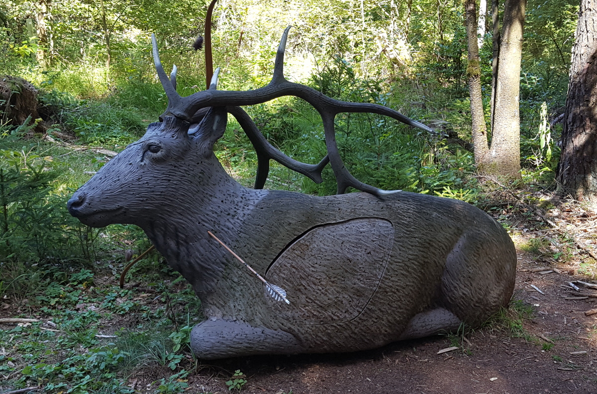 Colemen Traditionell intuitiv Bogenschießen, 3D Bogenparcours Bow Vision