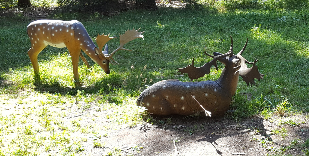 Colemen Traditionell intuitiv Bogenschießen, 3D Bogenparcours Bow Vision