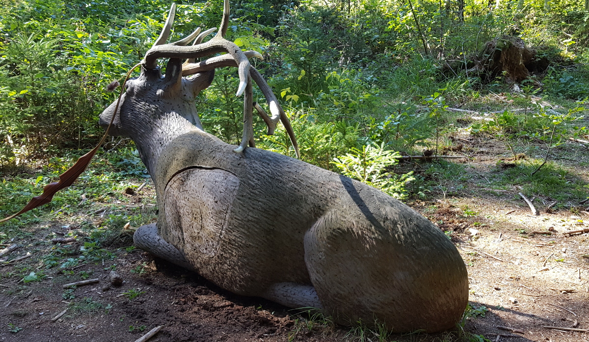Colemen Traditionell intuitiv Bogenschießen, 3D Bogenparcours Bow Vision