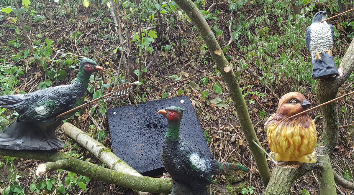 Colemen Traditionell intuitiv Bogenschießen, 3D Bogenparcours Bärleinsparcours