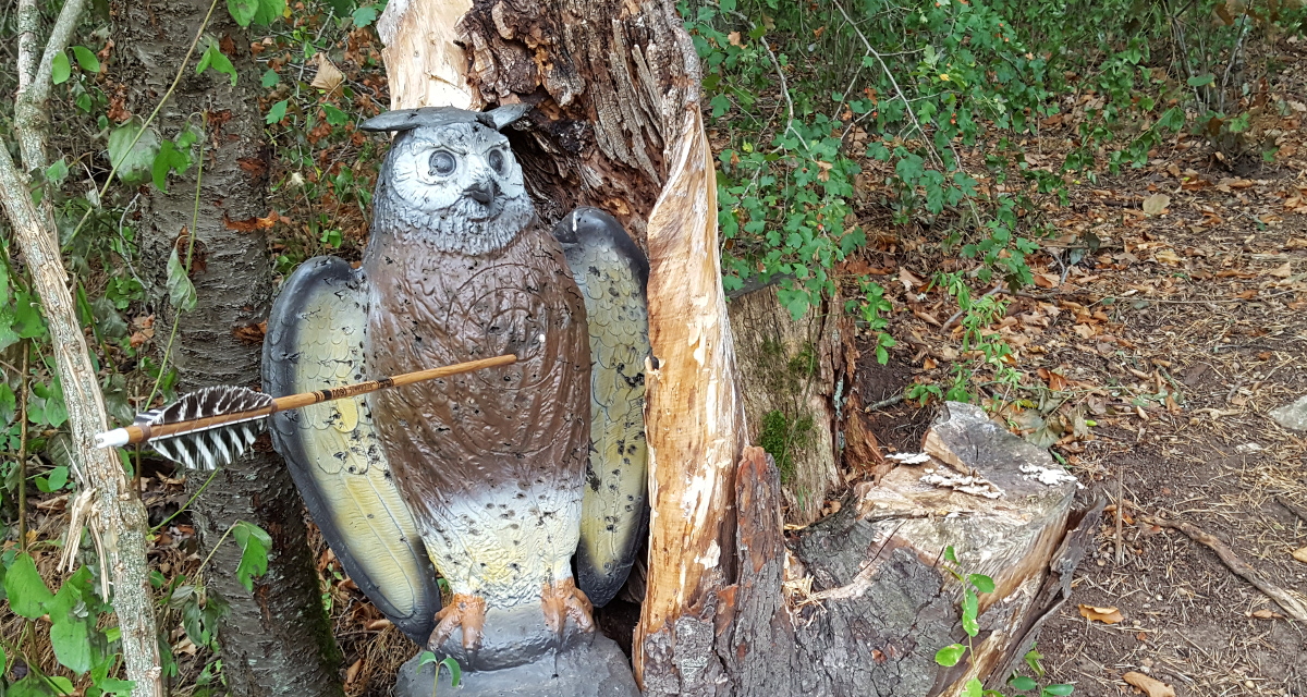 Colemen Traditionell intuitiv Bogenschießen, 3D Bogenparcours Bärleinsparcours