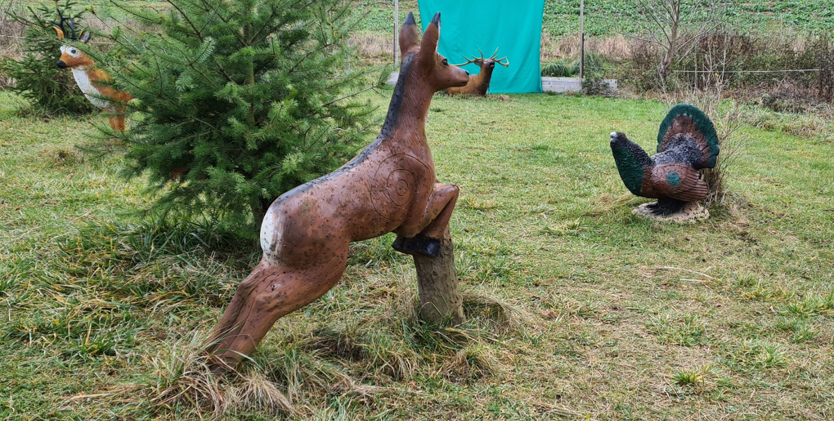 Colemen Traditionell intuitiv Bogenschießen, 3D Bogenparcours Bärleinsparcours