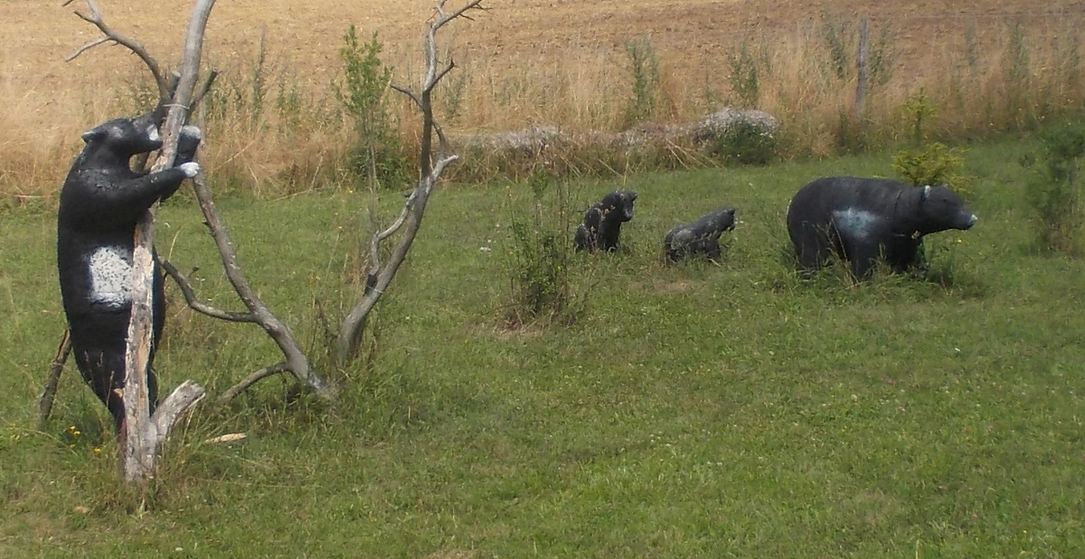 Colemen Traditionell intuitiv Bogenschießen, 3D Bogenparcours Bärleinsparcours
