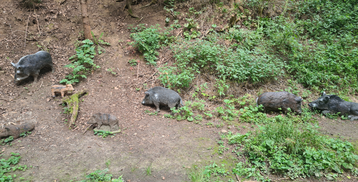 Colemen Traditionell intuitiv Bogenschießen, 3D Bogenparcours, Traditioneller Bärleinsparcours