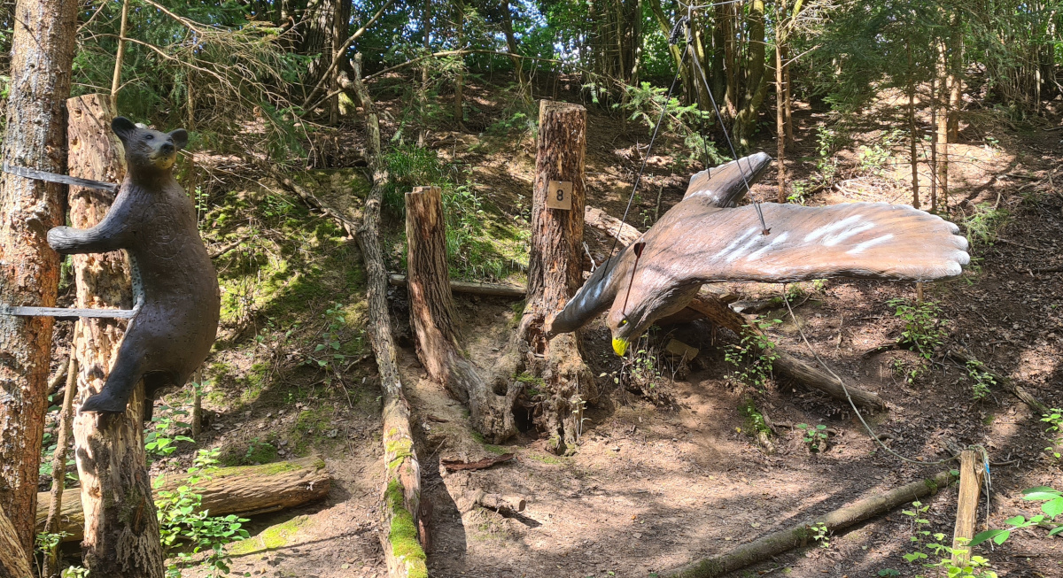 Colemen Traditionell intuitiv Bogenschießen, 3D Bogenparcours, Traditioneller Bärleinsparcours