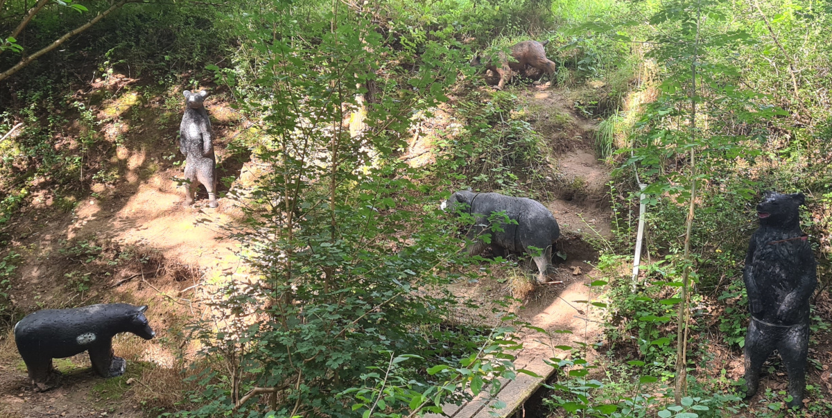 Colemen Traditionell intuitiv Bogenschießen, 3D Bogenparcours, Traditioneller Bärleinsparcours
