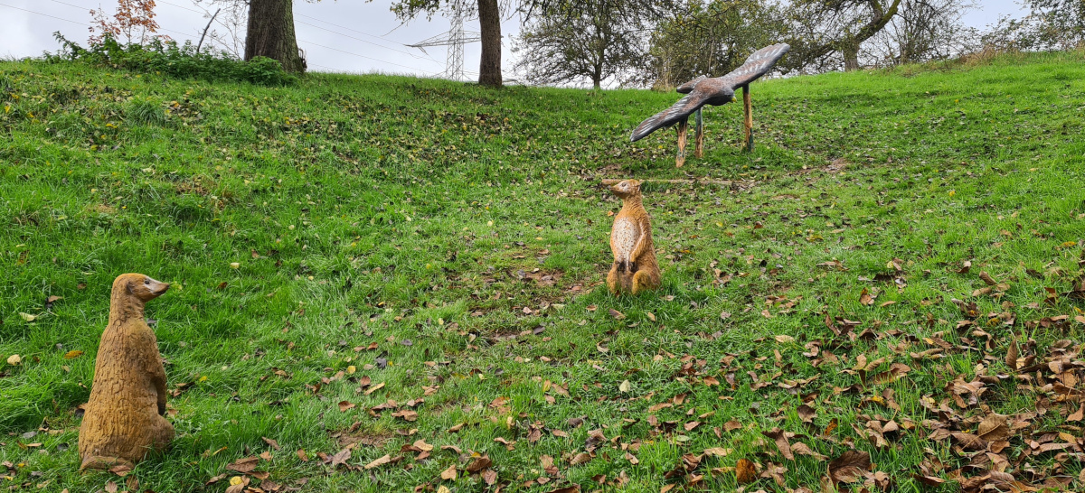 Colemen Traditionell intuitiv Bogenschießen, 3D Bogenparcours Collenberg