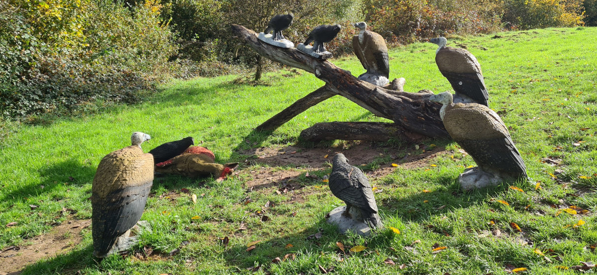 Colemen Traditionell intuitiv Bogenschießen, 3D Bogenparcours Collenberg