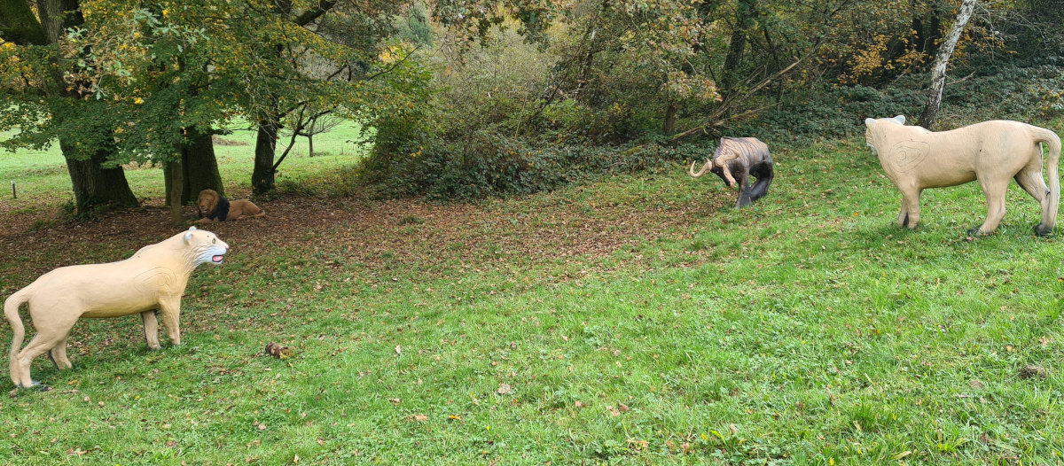 Colemen Traditionell intuitiv Bogenschießen, 3D Bogenparcours Collenberg