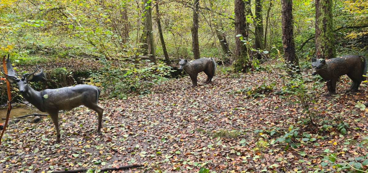 Colemen Traditionell intuitiv Bogenschießen, 3D Bogenparcours Collenberg