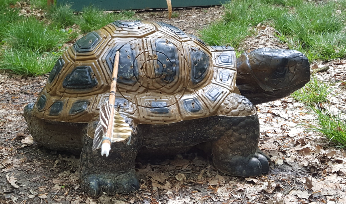 Colemen Traditionell intuitiv Bogenschießen, 3D Bogenparcours Donzdorf