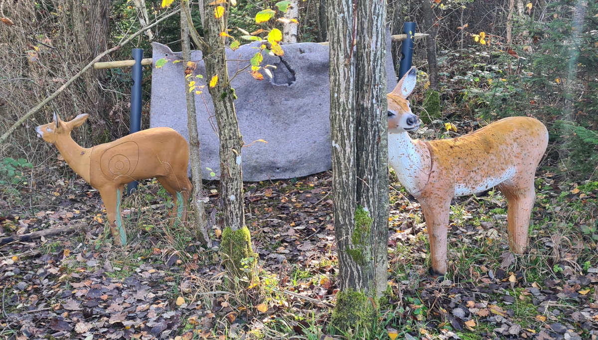 Colemen Traditionell intuitiv Bogenschießen, 3D Bogenparcours, Traditioneller Bogenparcours Eckartshausen
