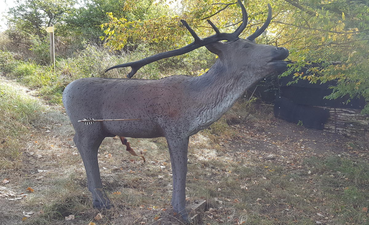 Colemen Traditionell intuitiv Bogenschießen, 3D Bogenparcours Diebacher Edelknechte