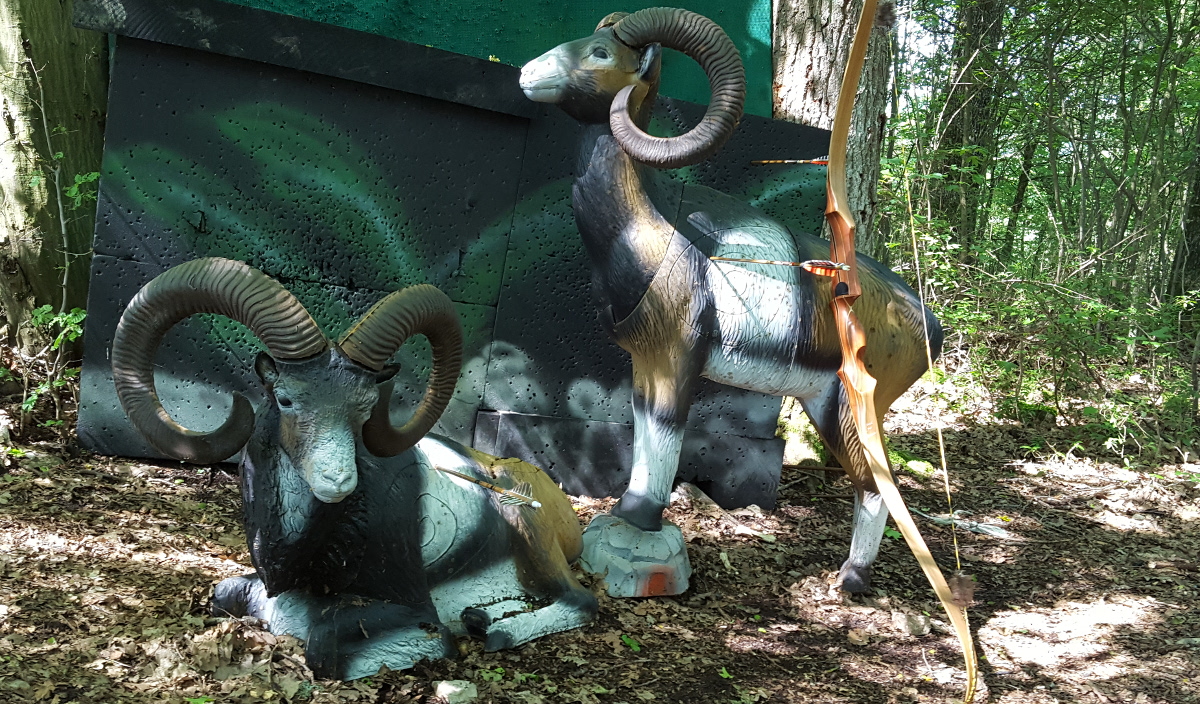 Colemen Traditionell intuitiv Bogenschießen, 3D Bogenparcours, Traditioneller Bogenparcours Hohenlohe