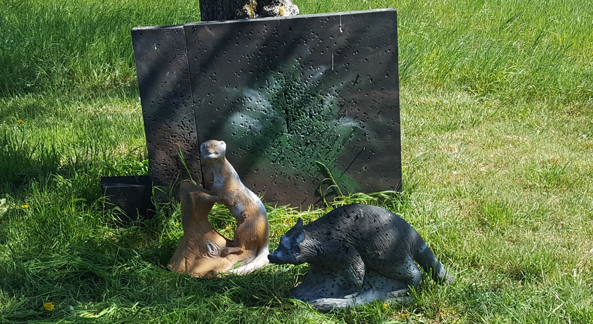 Colemen Traditionell intuitiv Bogenschießen, 3D Bogenparcours, Traditioneller Bogenparcours Hohenlohe