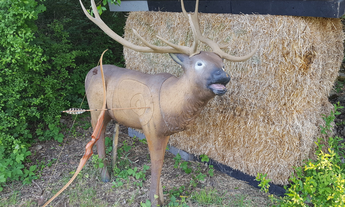 Colemen Traditionell intuitiv Bogenschießen, 3D Bogenparcours, Traditioneller Bogenparcours Hohenlohe