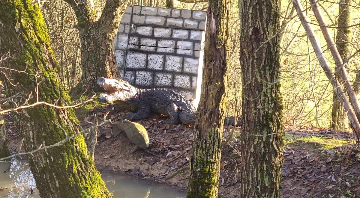 Colemen Traditionell intuitiv Bogenschießen, 3D Bogenparcours, Traditioneller Bogenparcours Hohenlohe