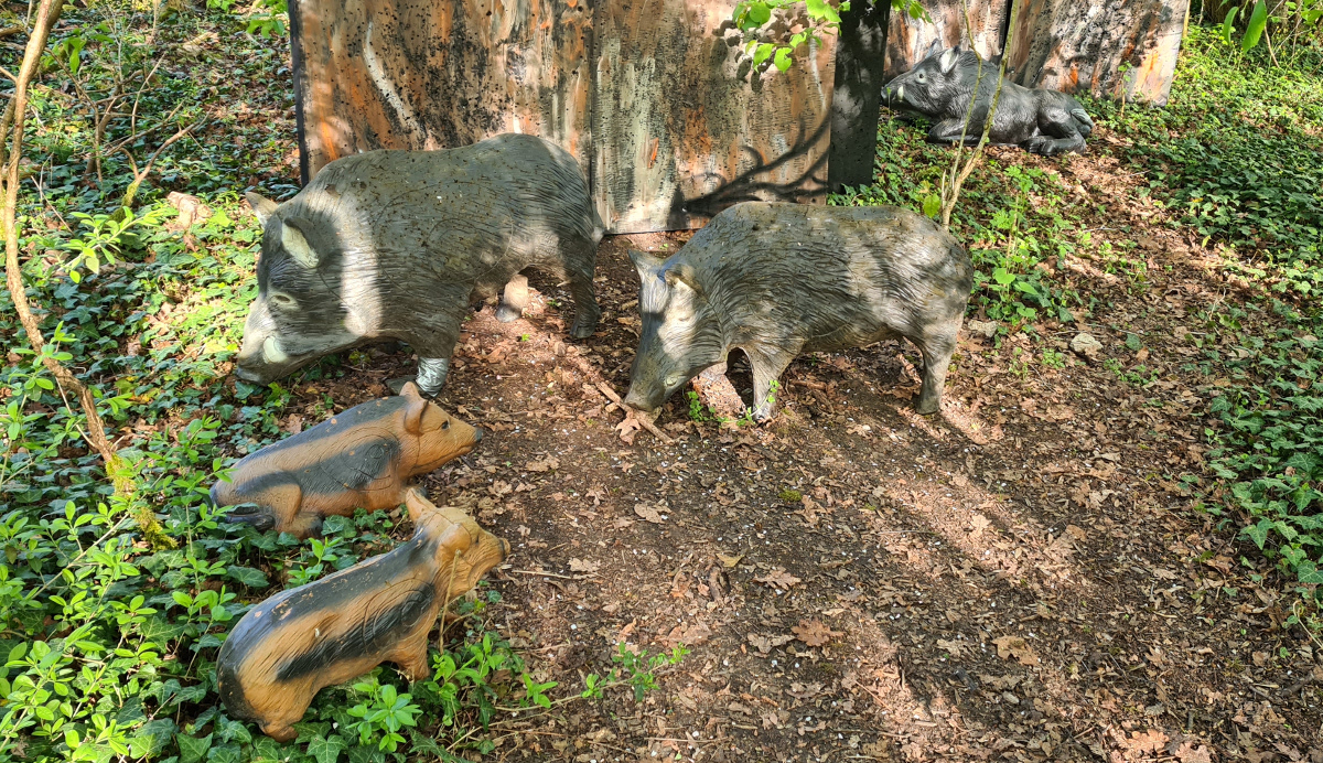 Colemen Traditionell intuitiv Bogenschießen, 3D Bogenparcours Hohenlohe
