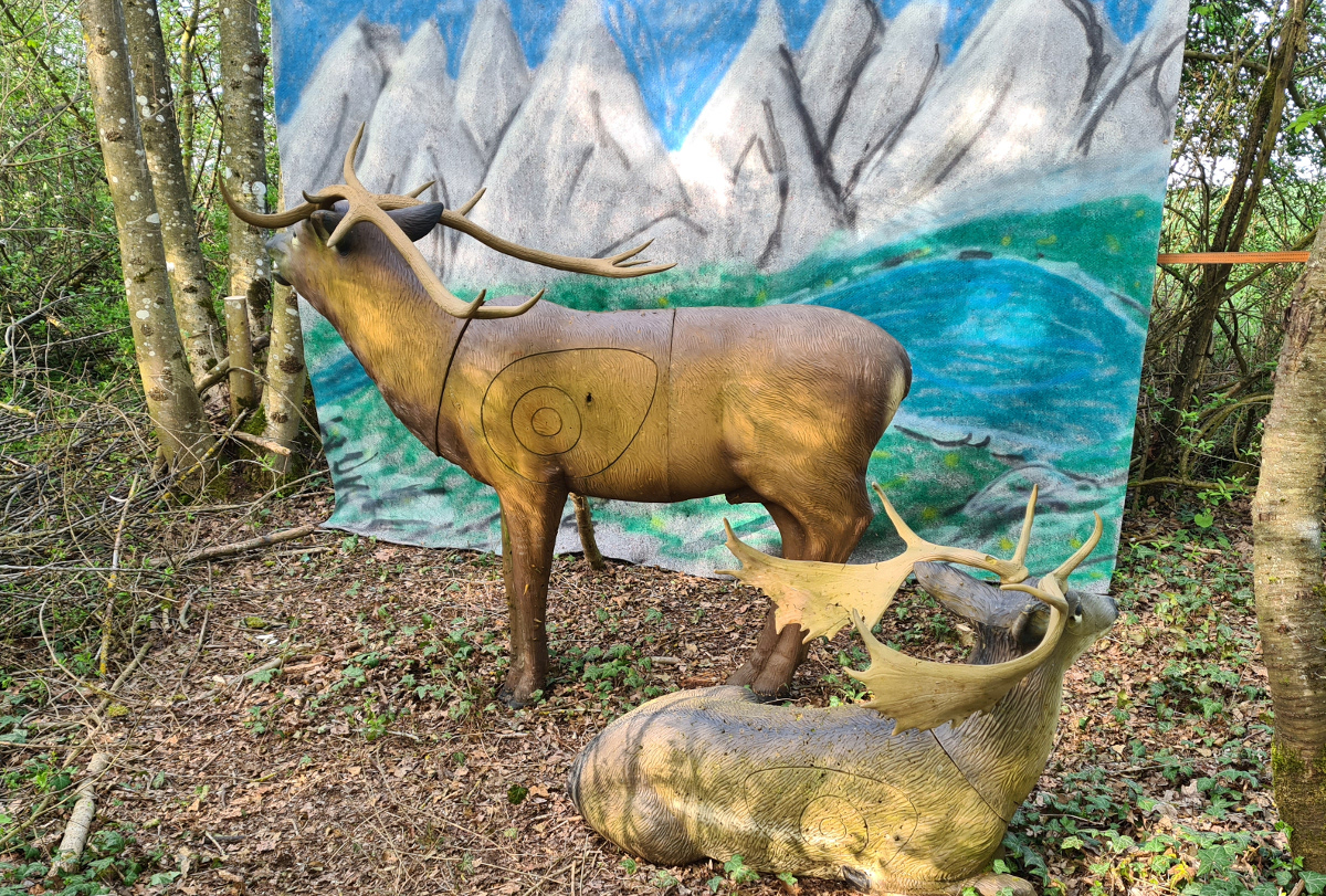 Colemen Traditionell intuitiv Bogenschießen, 3D Bogenparcours Hohenlohe