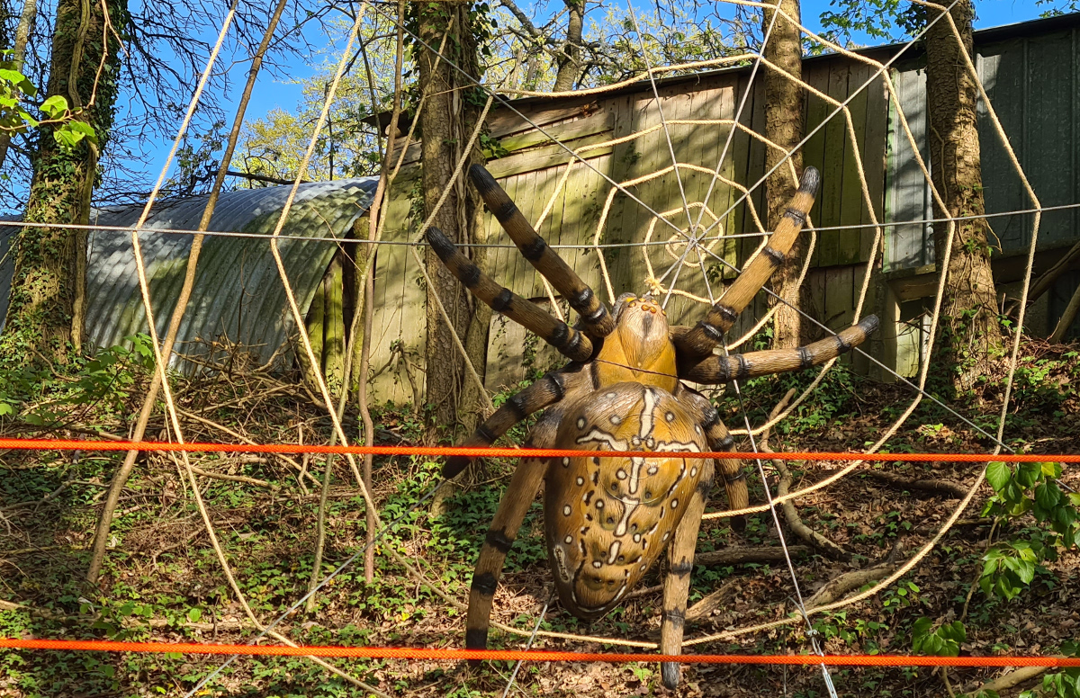 Colemen Traditionell intuitiv Bogenschießen, 3D Bogenparcours Hohenlohe
