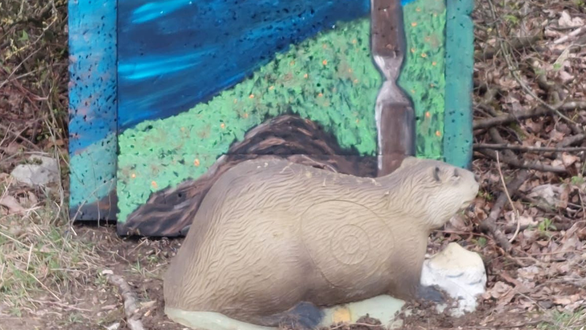 Colemen Traditionell intuitiv Bogenschießen, 3D Bogenparcours Hohenlohe