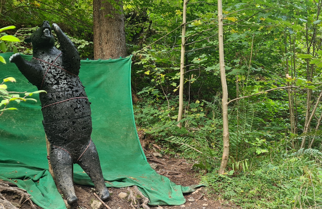 Colemen Traditionell intuitiv Bogenschießen, 3D Bogenparcours Höllschlucht Pfronten