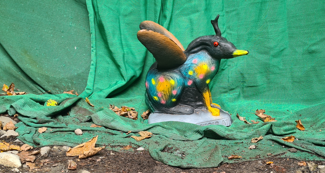 Colemen Traditionell intuitiv Bogenschießen, 3D Bogenparcours Höllschlucht Pfronten