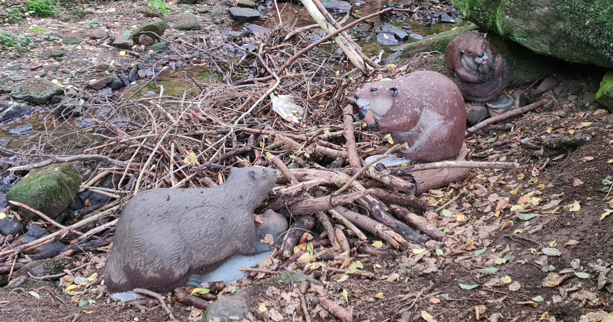 Colemen Traditionell intuitiv Bogenschießen, 3D Bogenparcours Kummersklinge