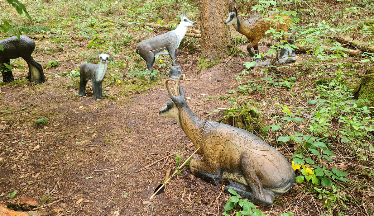 Colemen Traditionell intuitiv Bogenschießen, 3D Bogenparcours Kummersklinge