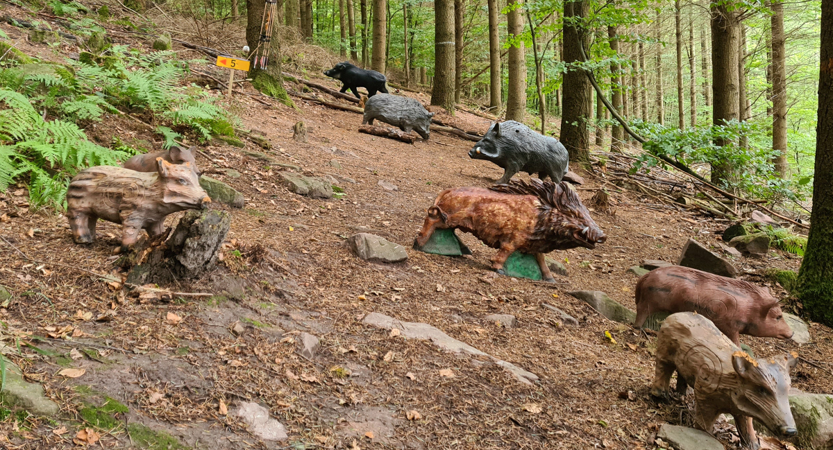 Colemen Traditionell intuitiv Bogenschießen, 3D Bogenparcours Kummersklinge