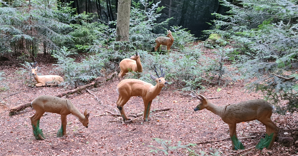 Colemen Traditionell intuitiv Bogenschießen, 3D Bogenparcours Kummersklinge