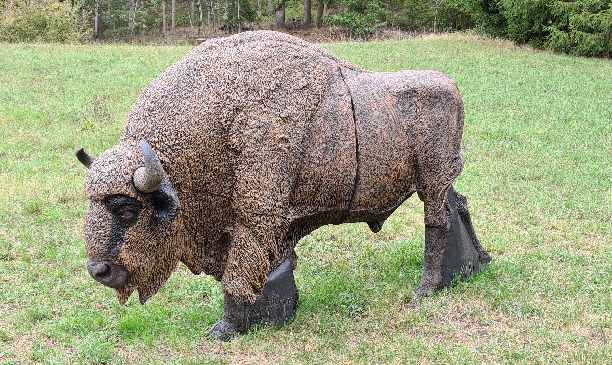 Colemen Traditionell intuitiv Bogenschießen, 3D Bogenparcours Kummersklinge
