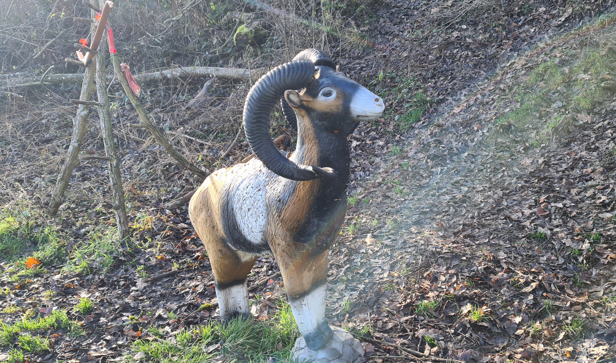 Colemen Traditionell intuitiv Bogenschießen, 3D Bogenparcours Lellwangen