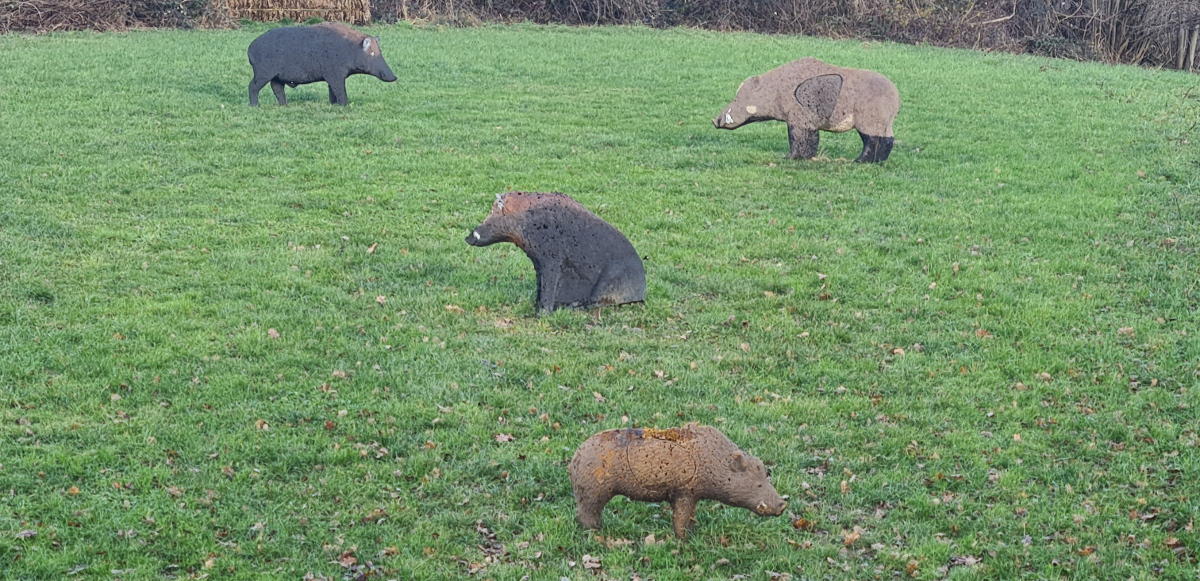 Colemen Traditionell intuitiv Bogenschießen, 3D Bogenparcours Lellwangen