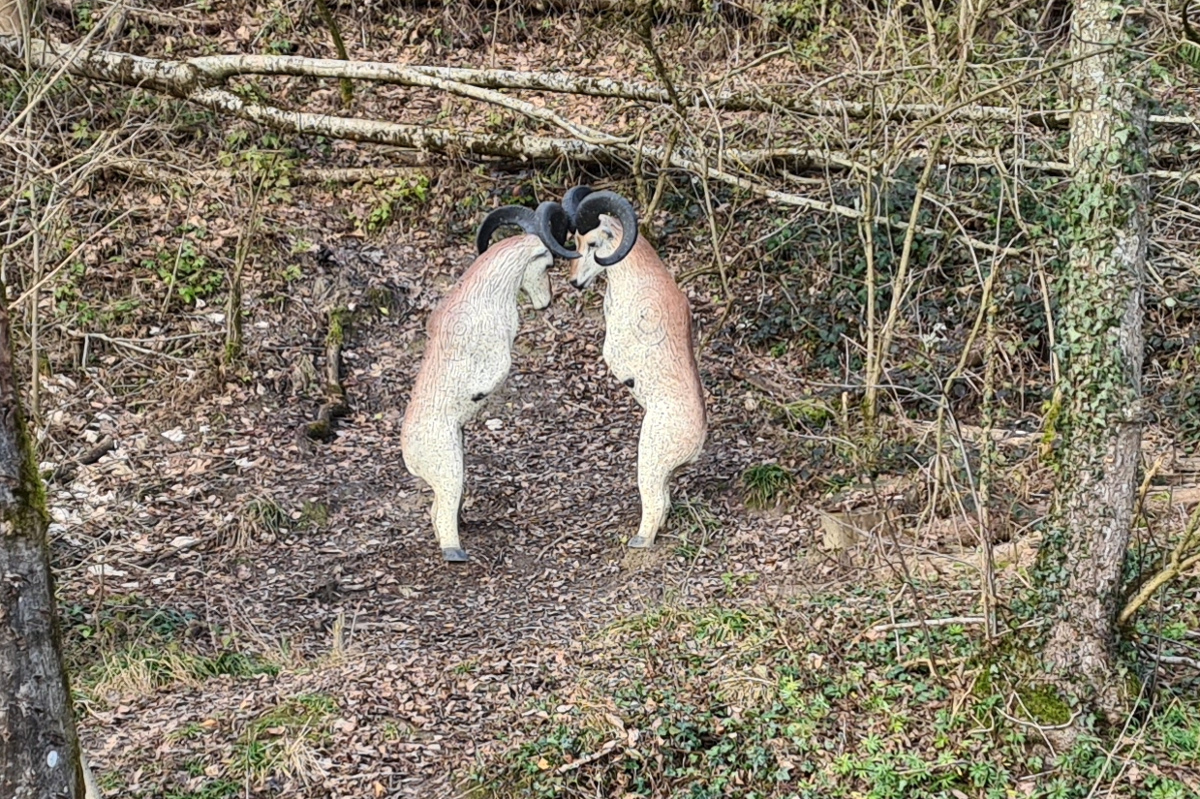 Colemen Traditionell intuitiv Bogenschießen, 3D Bogenparcours Lellwangen
