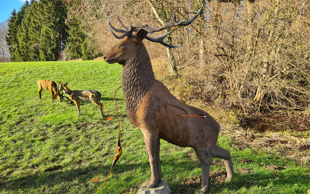 Colemen Traditionell intuitiv Bogenschießen, 3D Bogenparcours Lellwangen