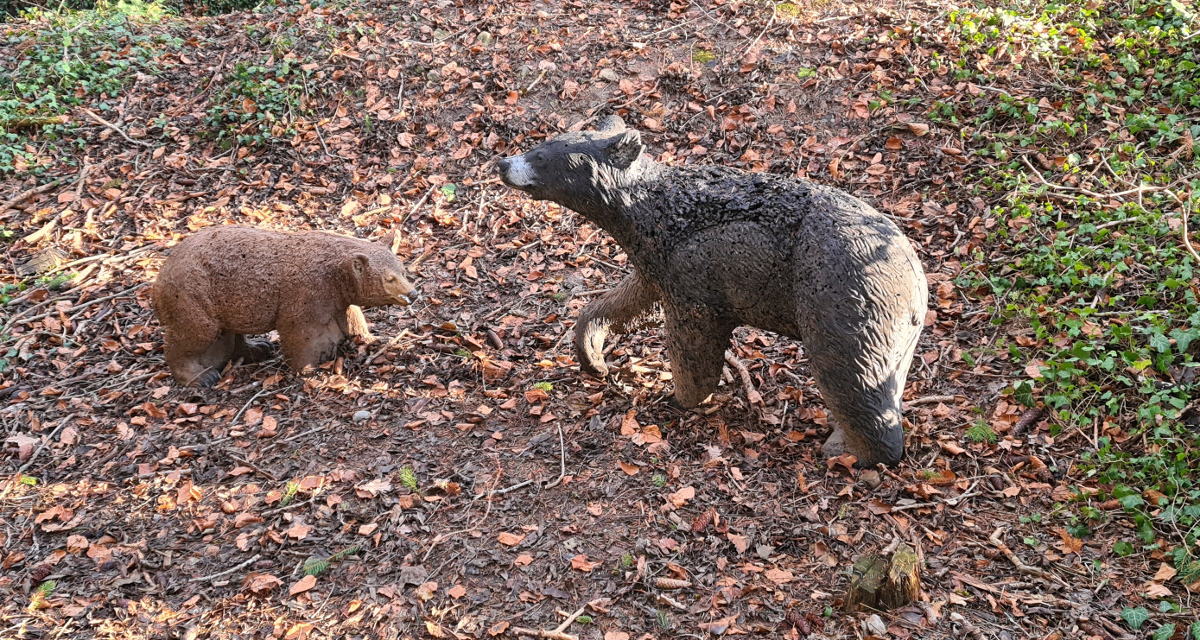 Colemen Traditionell intuitiv Bogenschießen, 3D Bogenparcours Lellwangen